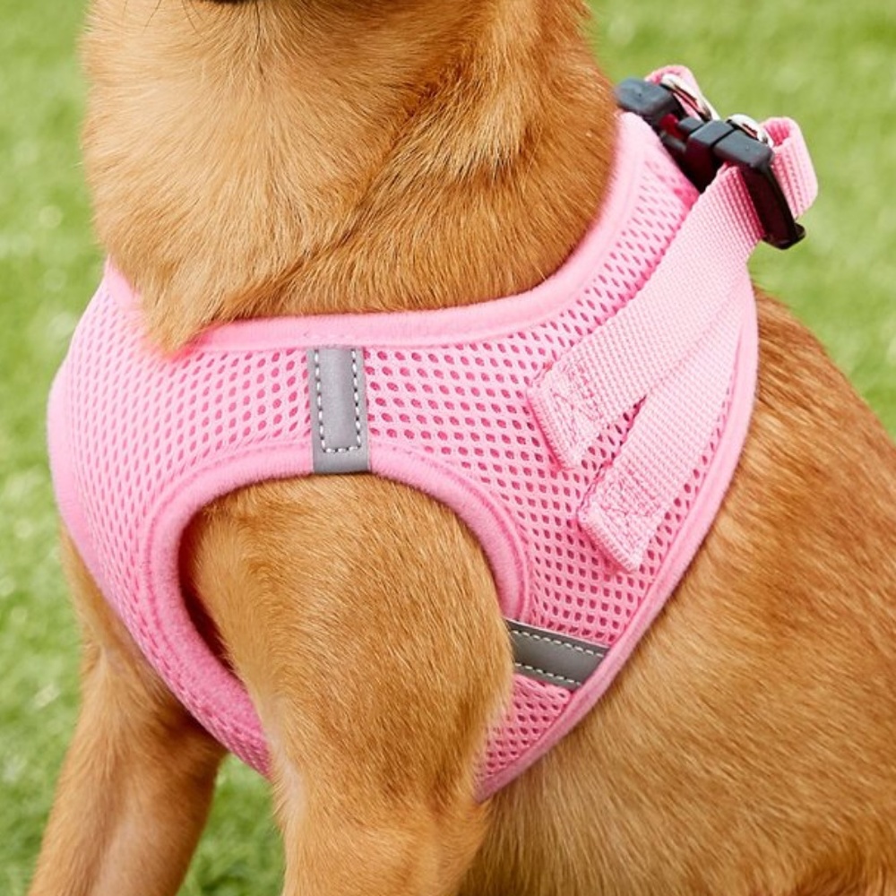 Small Dog Harness